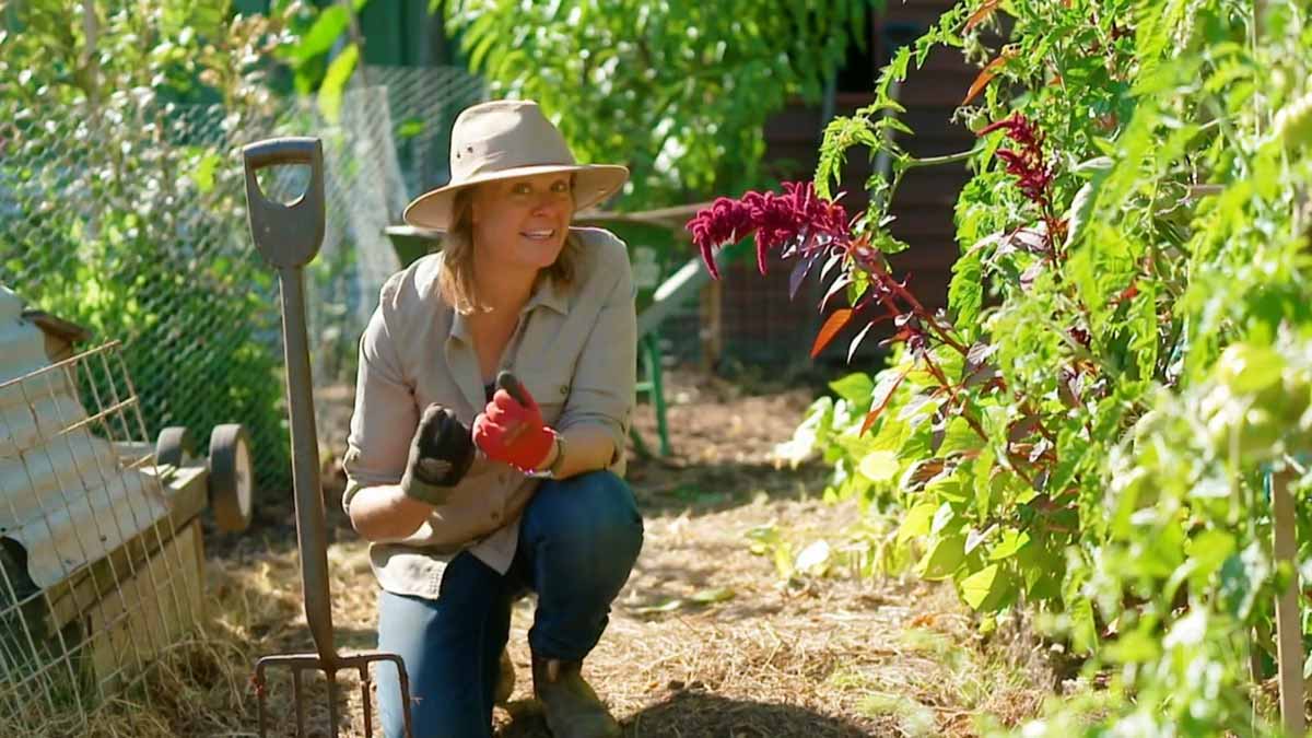 Read more about the article Gardening Australia episode 30 2020