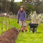 Gardening Australia episode 32 2020