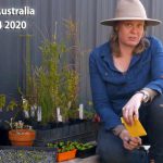 Gardening Australia episode 34 2020