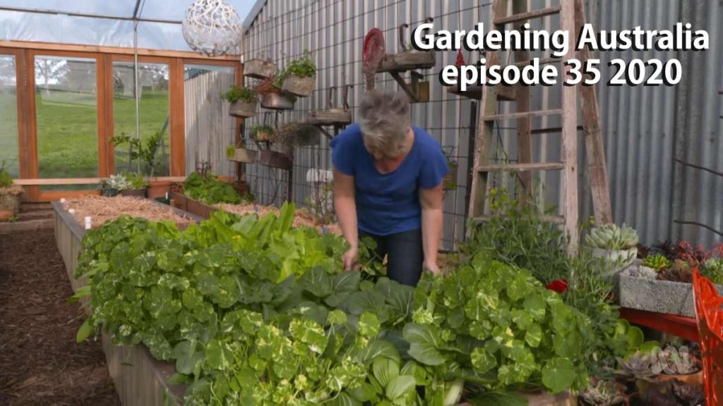 Gardening Australia episode 35 2020