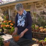 Gardening Australia episode 39 2020