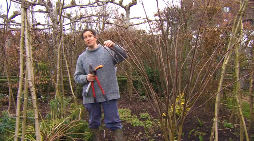 Read more about the article Gardeners’ World episode 1 2013