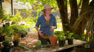 Read more about the article Gardening Australia episode 1 2021