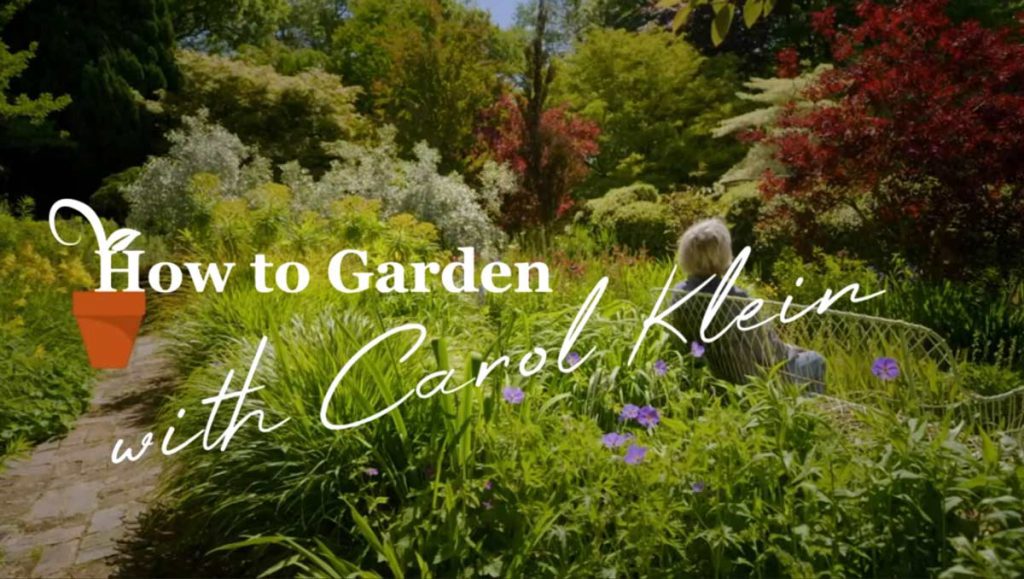 Gardening with Carol Klein episode 1