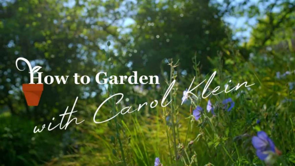 Gardening with Carol Klein episode 2
