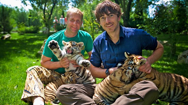 Read more about the article Incredible Journeys with Simon Reeve episode 3