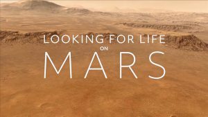 Read more about the article Looking for Life on Mars