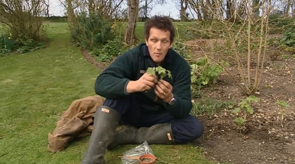 Monty Don's Real Gardens episode 14