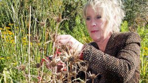 Read more about the article Life in a Cottage Garden with Carol Kleine episode 6 – Into Winter