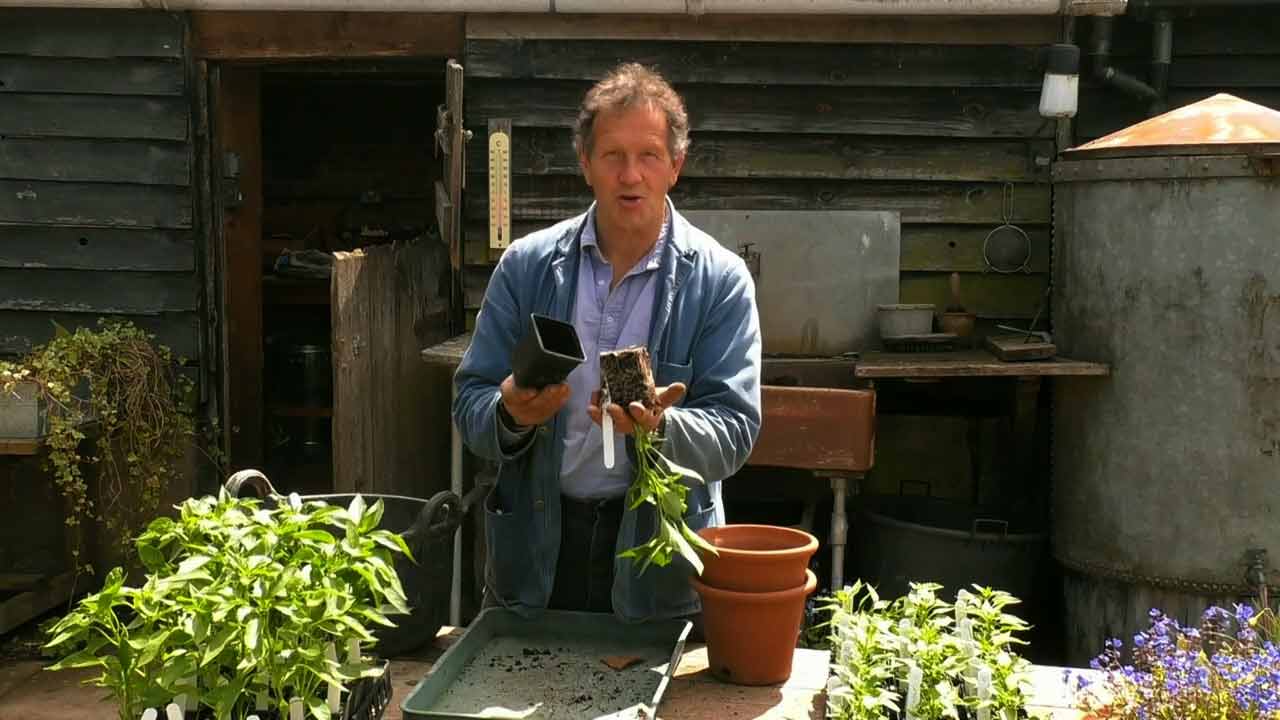 Gardeners’ World 2021 episode 10 HDclump