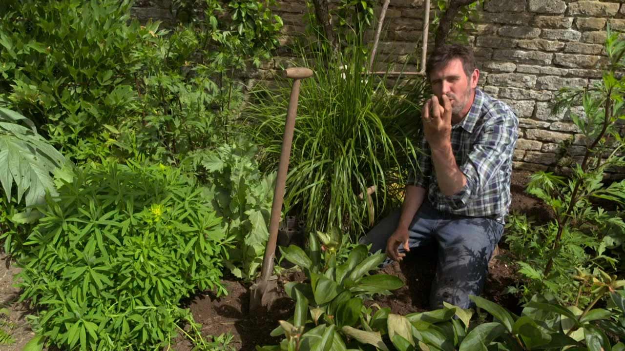 Gardeners’ World 2021 episode 15 HDclump