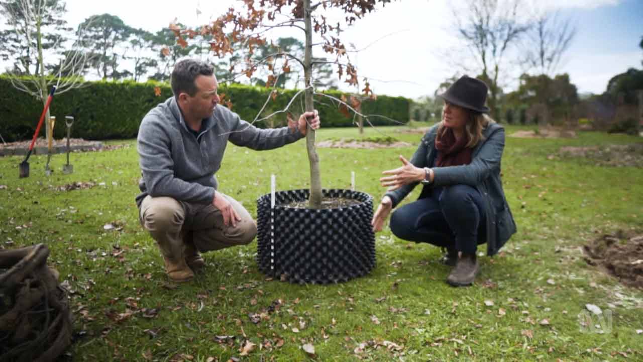 Read more about the article Gardening Australia episode 18 2021