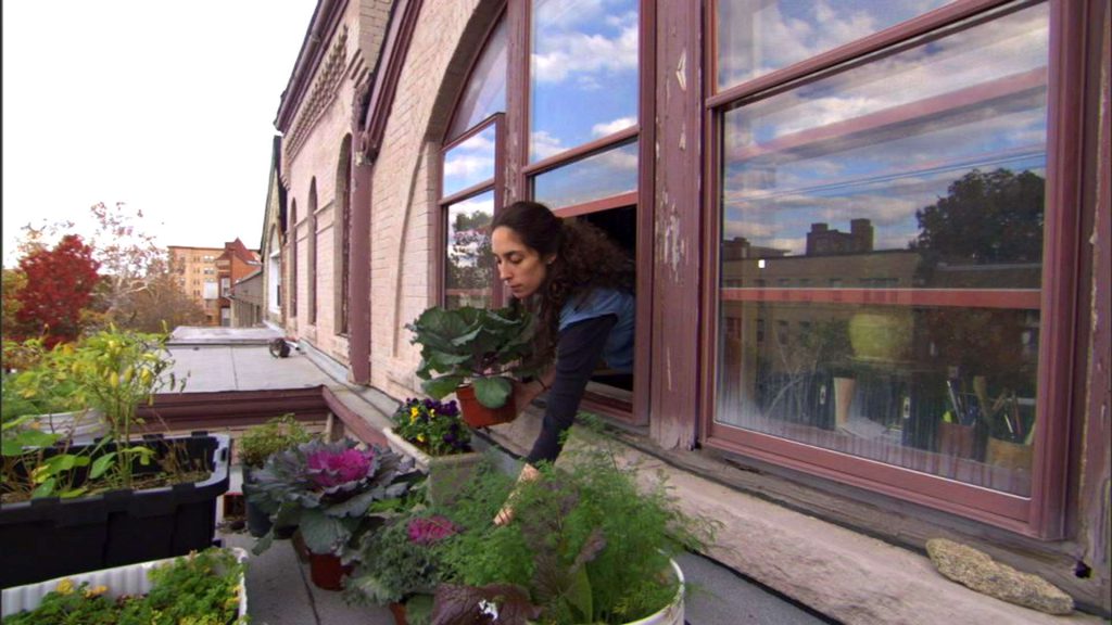 Garden Secrets episode 1 - Urban Gardening