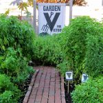 Garden Secrets episode 3 - Victory Veggies