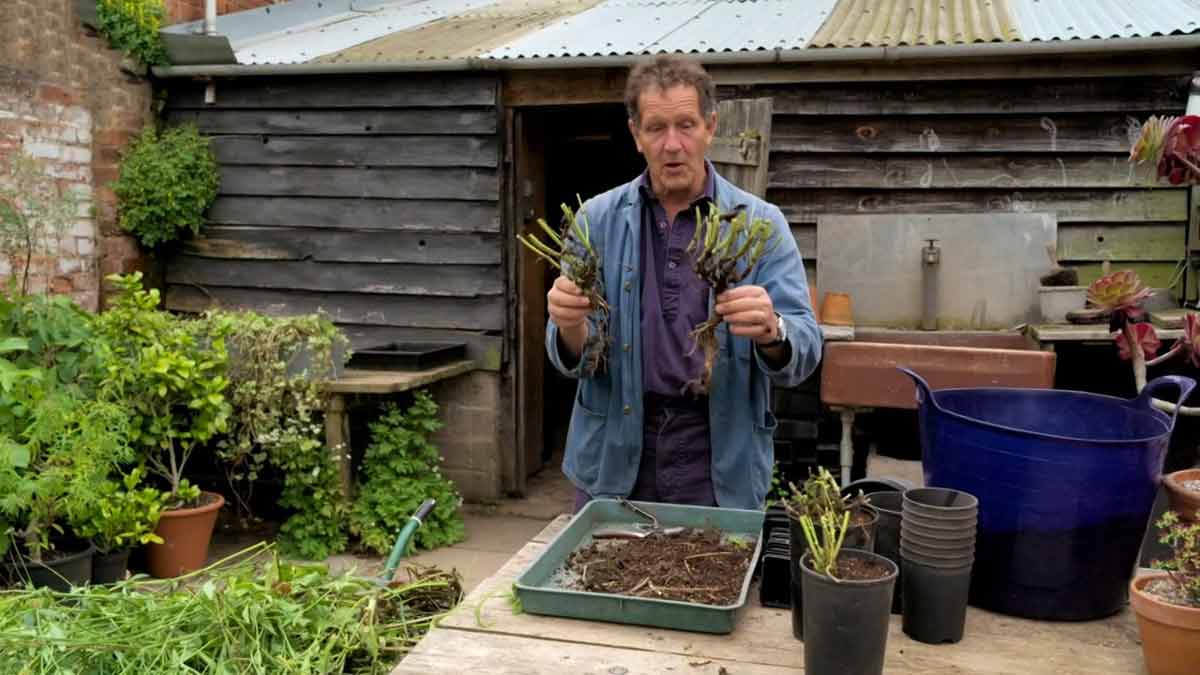 Read more about the article Gardeners’ World 2021 episode 23
