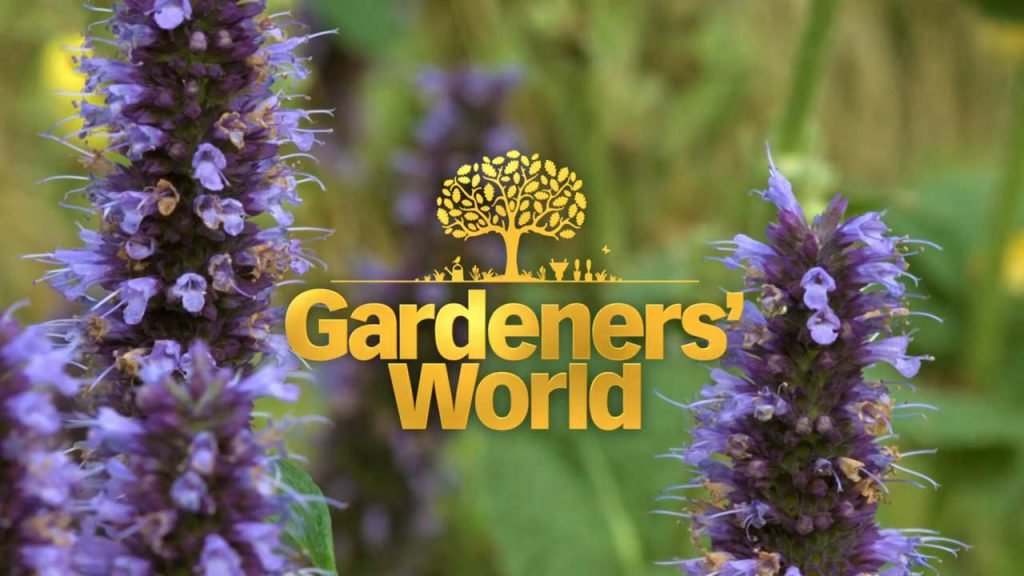 Gardeners’ World 2021 episode 26