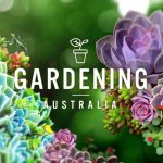 Gardening Australia episode 28 2021