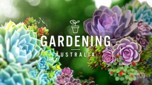 Read more about the article Gardening Australia episode 30 2021