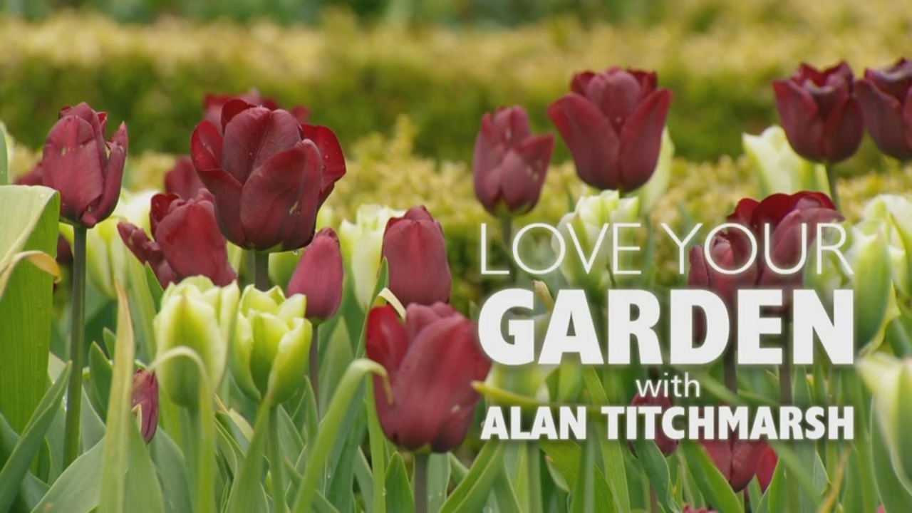 You are currently viewing Love Your Garden episode 6 2021 – Somerset