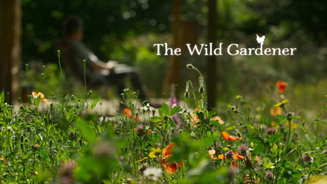 Read more about the article The Wild Gardener episode 1