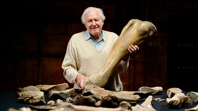 Read more about the article Attenborough and the Mammoth Graveyard