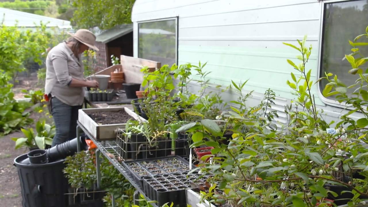 Read more about the article Gardening Australia episode 2 2022