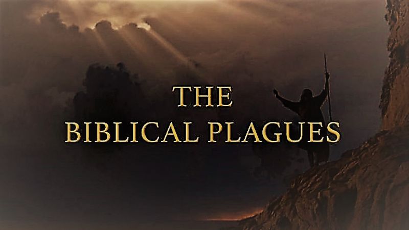 The Biblical Plagues episode 3