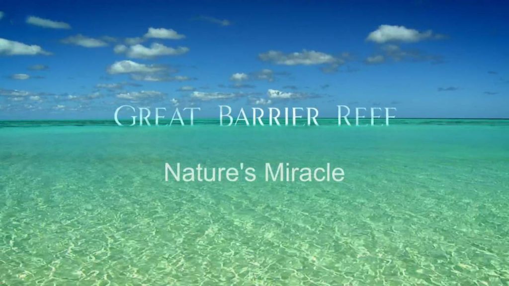 Great Barrier Reef episode 1