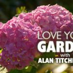 Love Your Garden 2022 episode 2