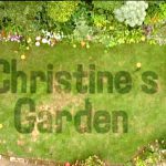 Christine's Garden episode 12