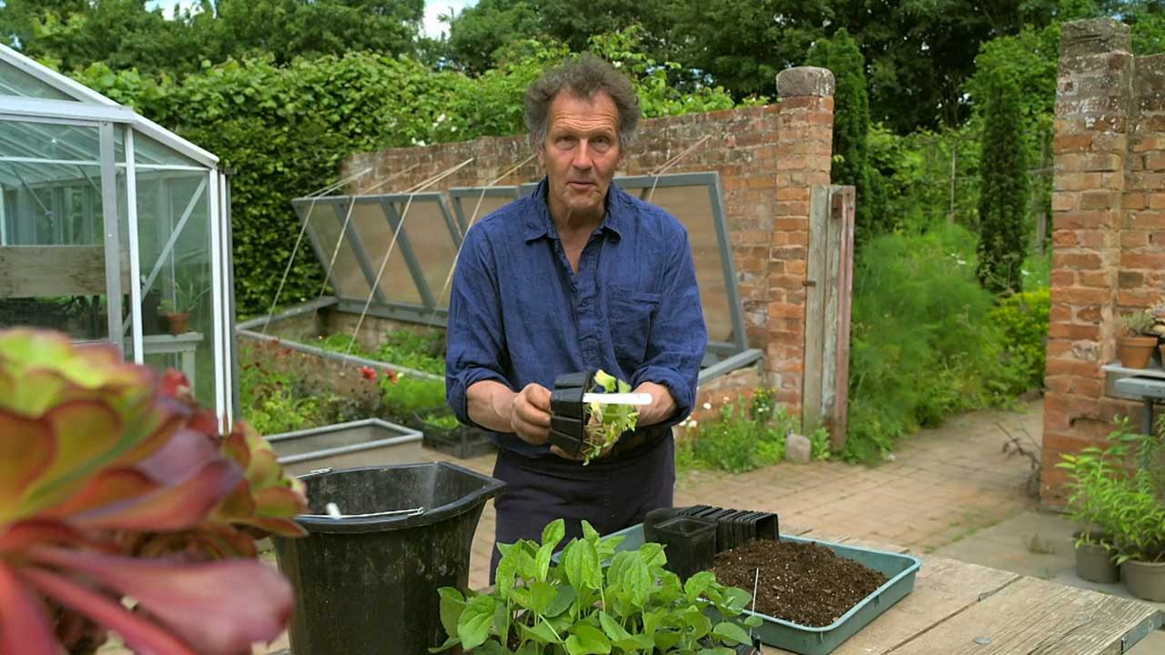 Read more about the article Gardeners’ World 2022 episode 15