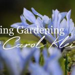 Spring Gardening with Carol Klein episode 1