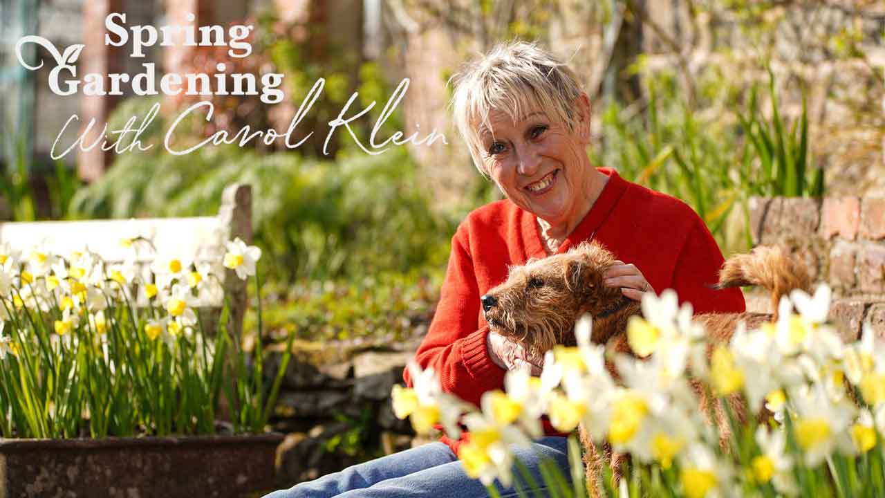You are currently viewing Spring Gardening with Carol Klein episode 6