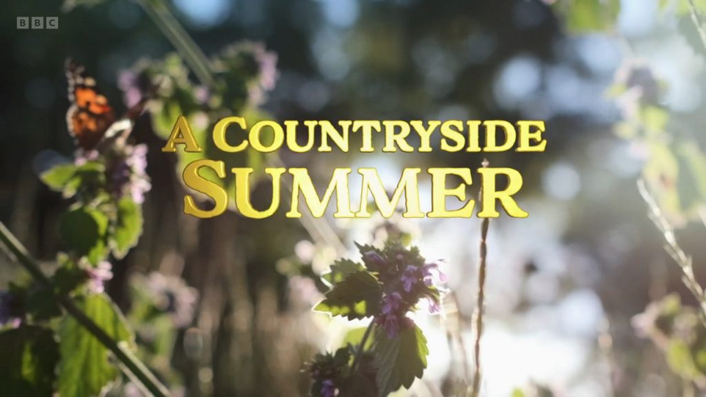 A Countryside Summer episode 12