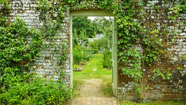 A Year in an English Garden: Flicker and Pulse