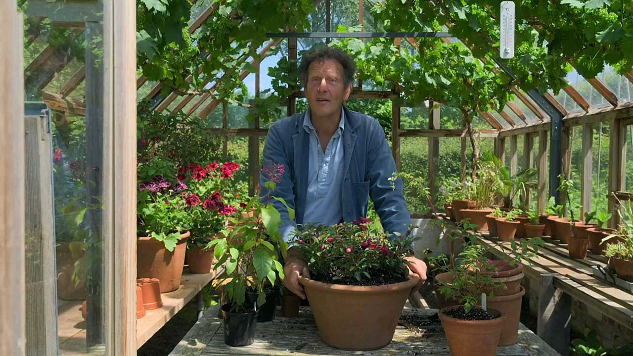 Read more about the article Gardeners’ World 2022 episode 16