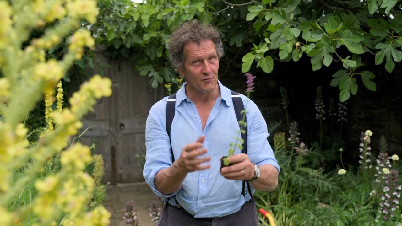Read more about the article Gardeners’ World 2022 episode 18