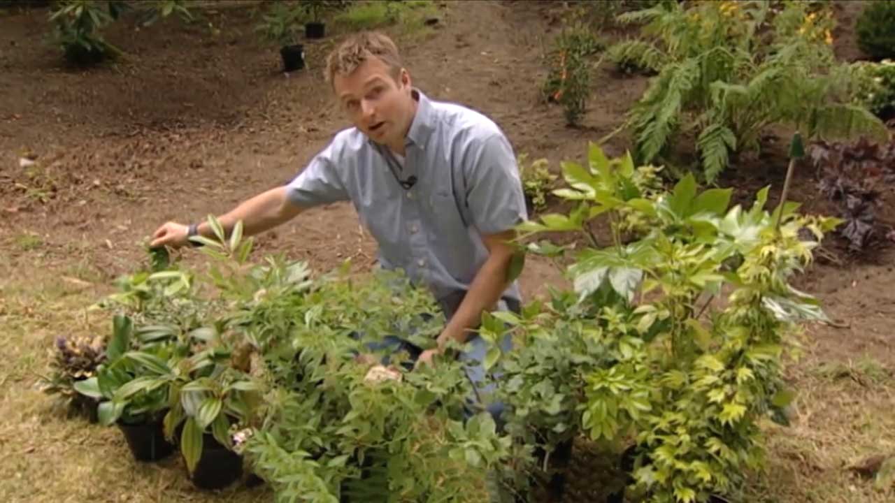 You are currently viewing Flying Gardener episode 5 – Scotland