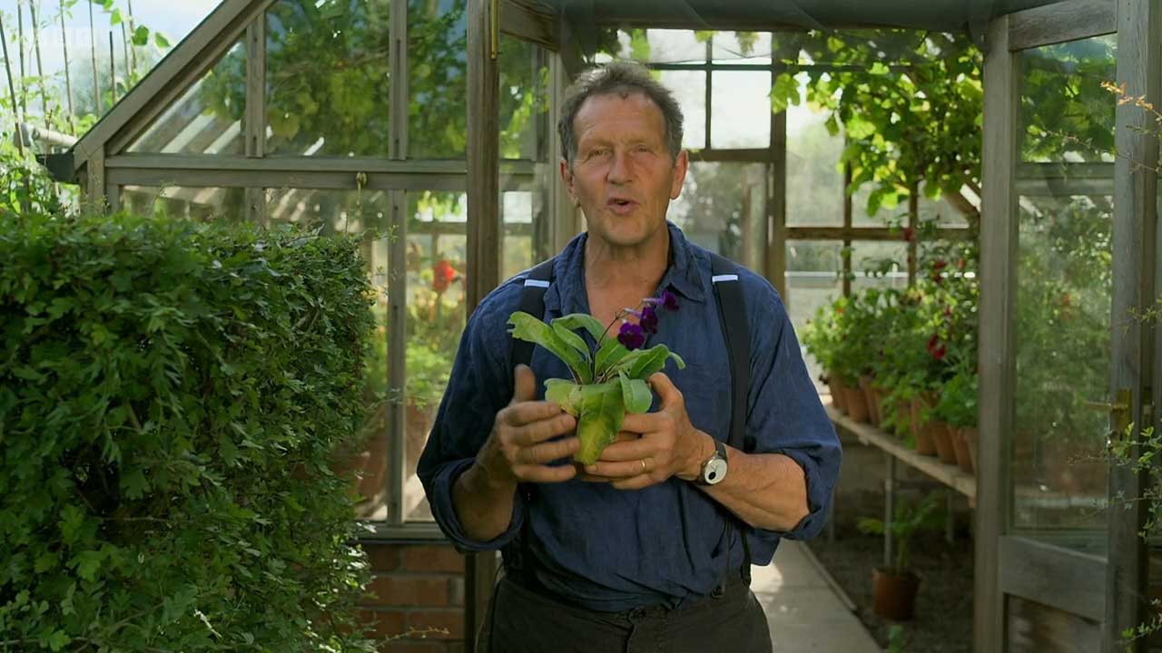 Read more about the article Gardeners’ World 2022 episode 22