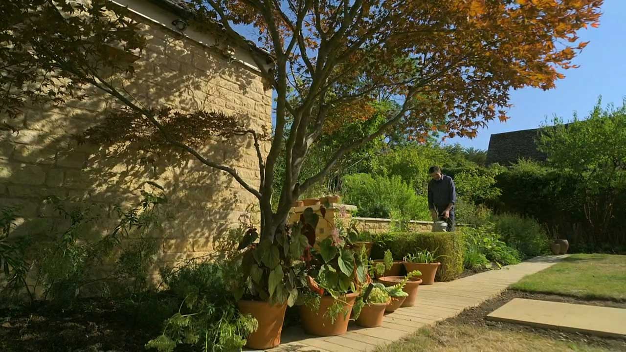 Read more about the article Gardeners’ World 2022 episode 23