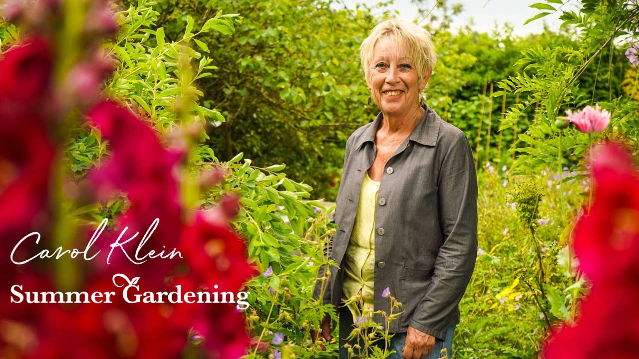 Summer Gardening with Carol Klein episode 4