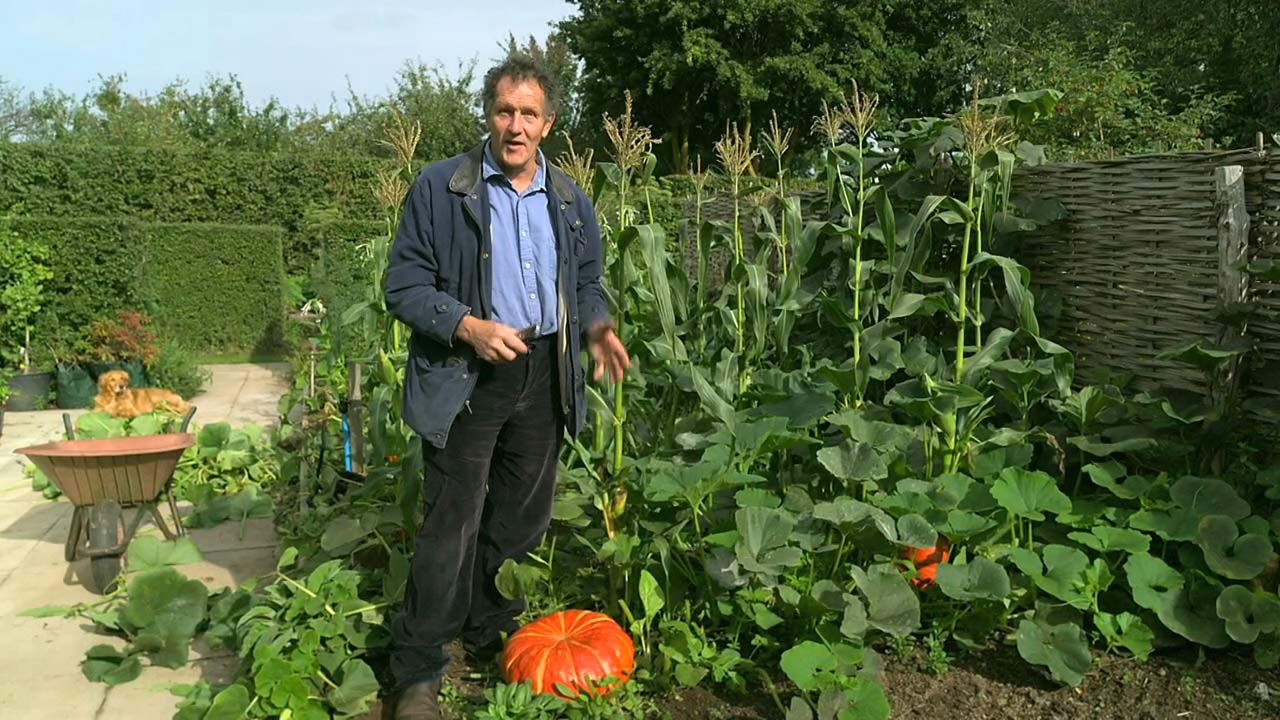 Read more about the article Gardeners’ World 2022 episode 27
