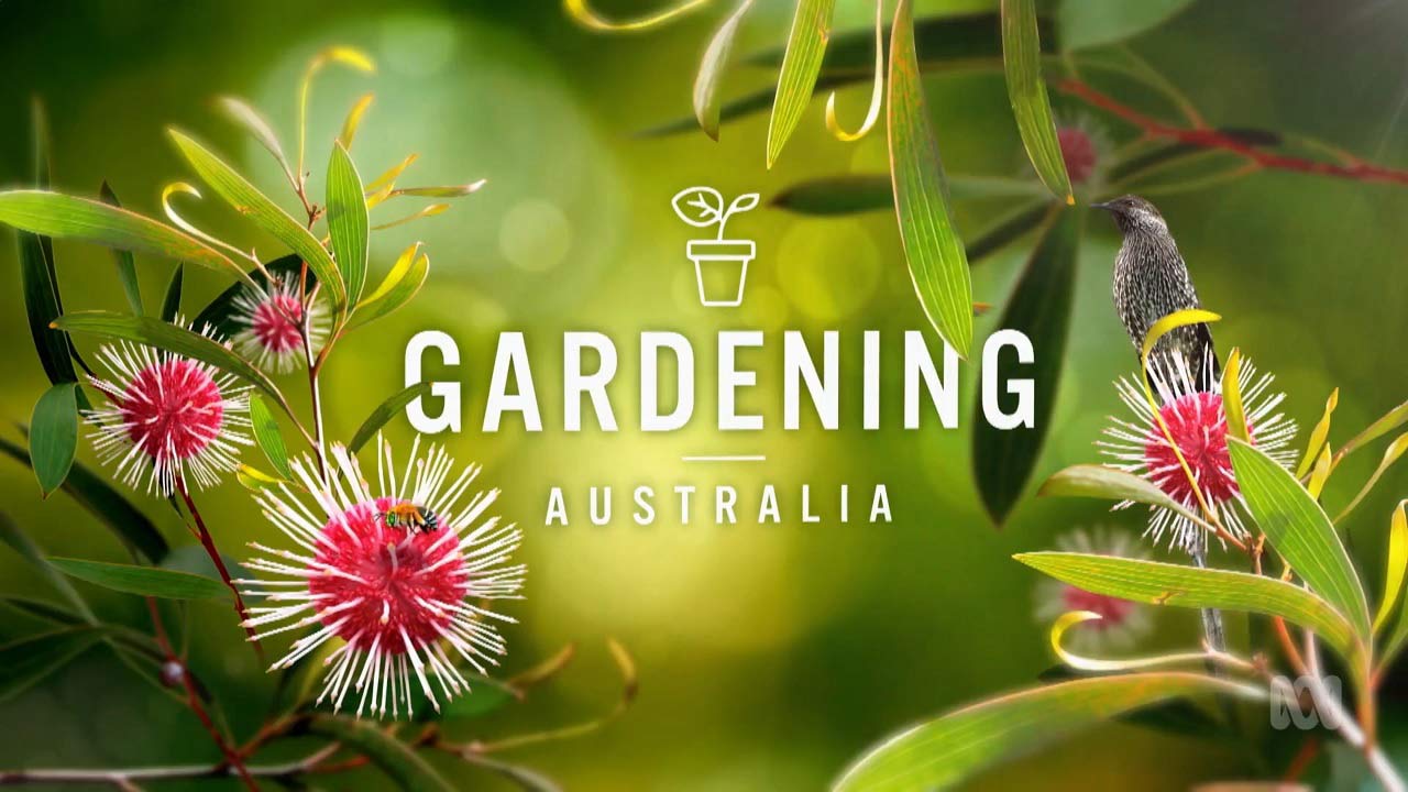 Gardening Australia episode 24 2022