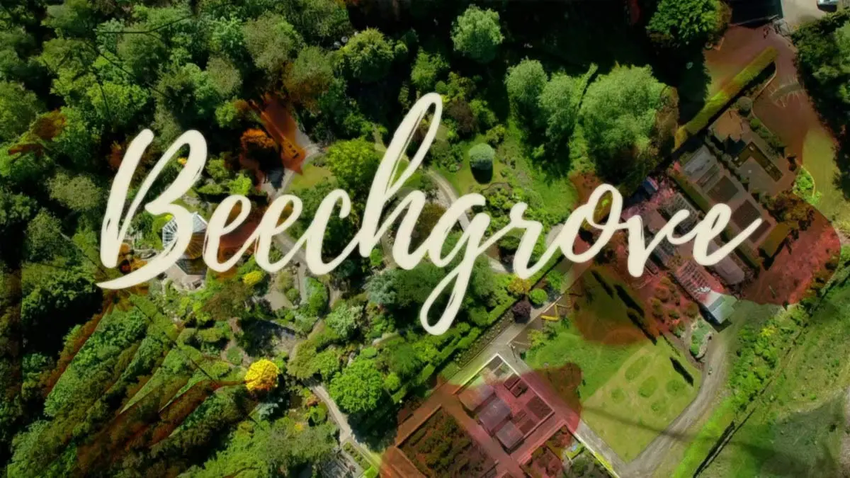 You are currently viewing The Beechgrove Garden 2022 episode 26