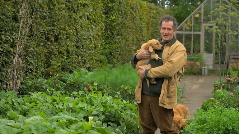 Gardeners World 2022 Episode 29 Hdclump 8997