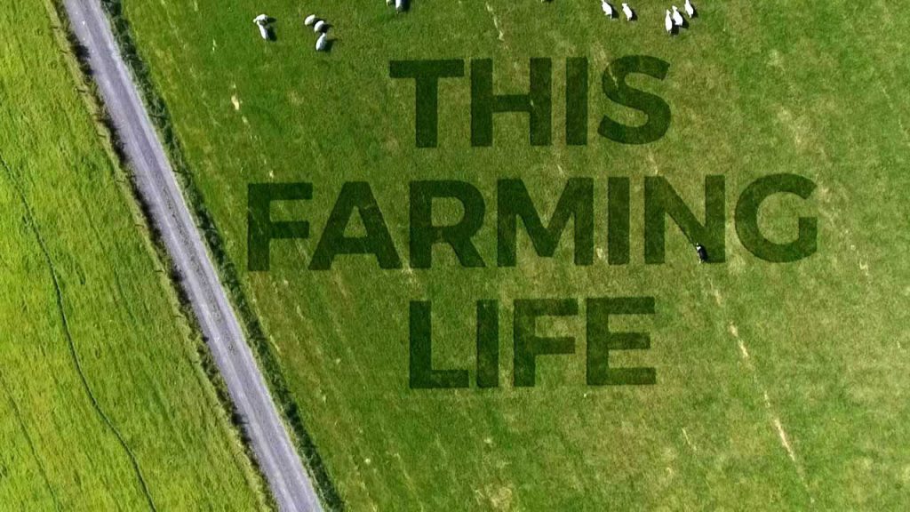 This Farming Life episode 2