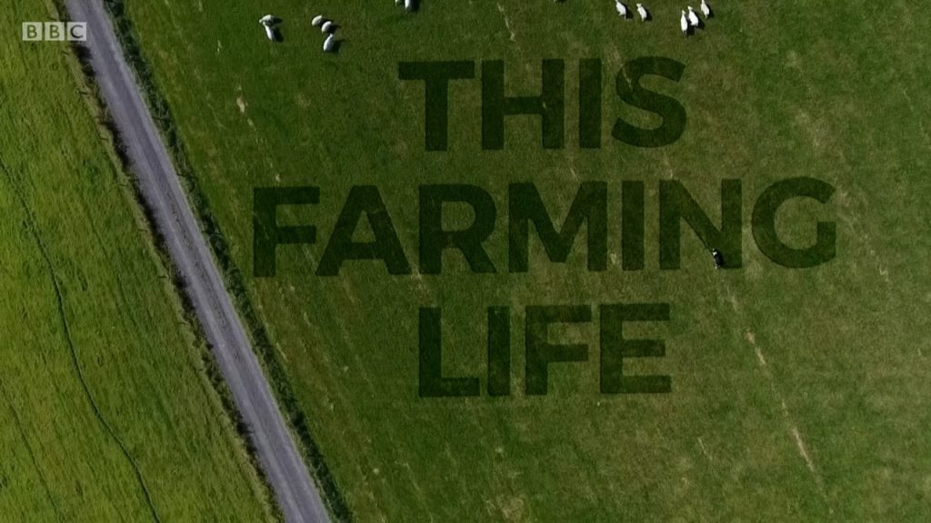 This Farming Life episode 7