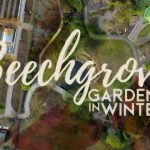 Beechgrove Gardens in Winter 2022 episode 1