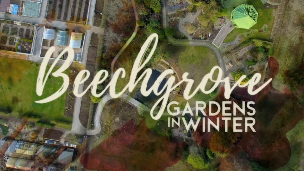 Beechgrove Gardens in Winter 2022 episode 4