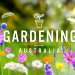 Gardening Australia episode 33 2022